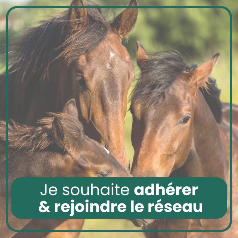Adhérer et rejoindre le réseau