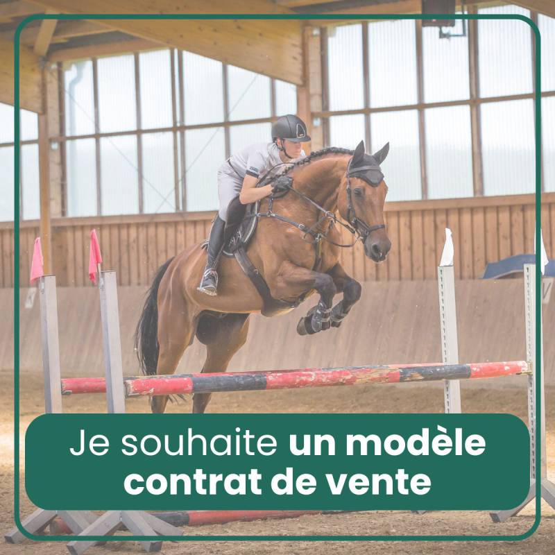 Modèle de contrat de vente