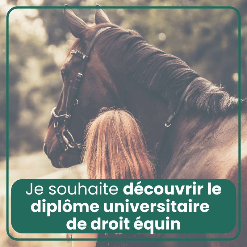 DU de droit équin