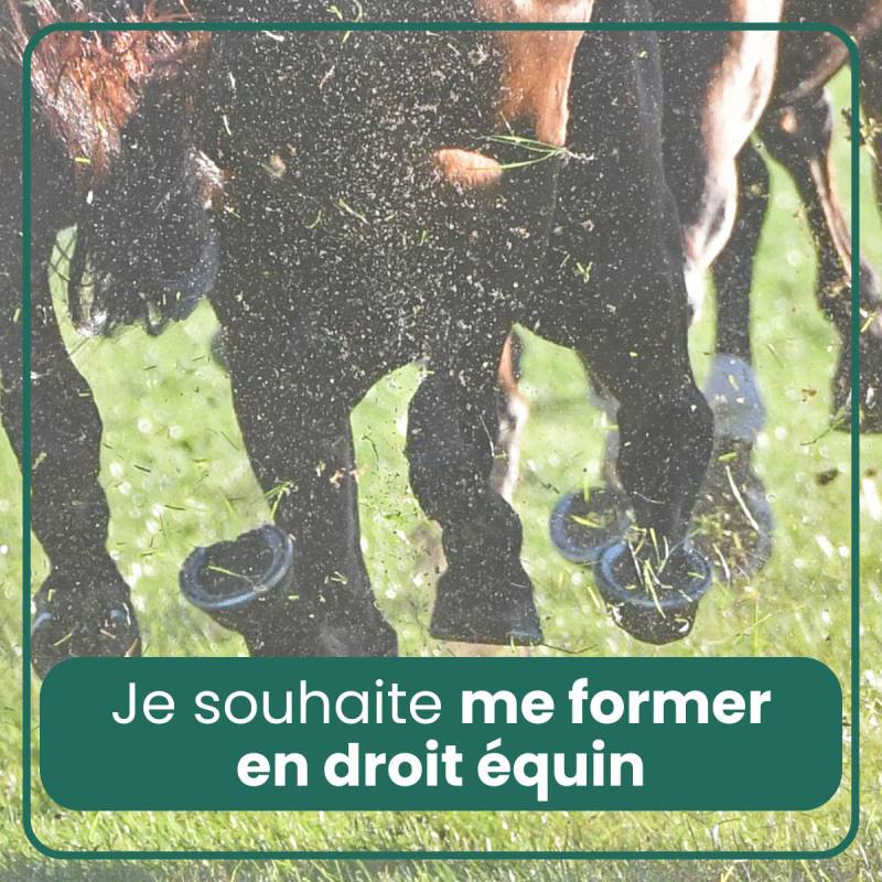 Se former en droit équin